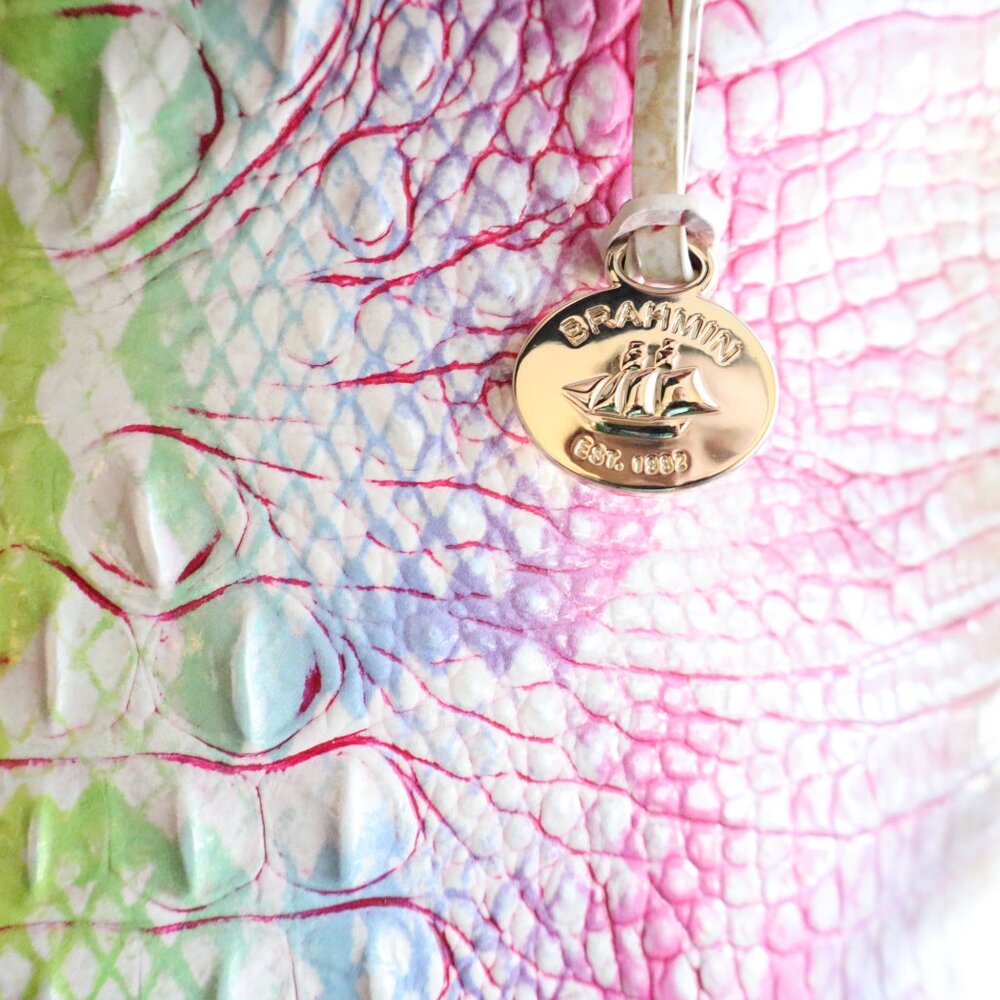 Brahmin Rainbow Optimism Melbourne Ombre Duxbury Large Satchel Pristine &wallet - Picture 7 of 16